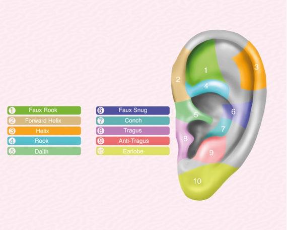 Yaprak Motifli Pırlantalı Halka Piercing, 12 MM, 1.2 MM, 14K Sarı-Beyaz-Kırmızı Altın | LC00004D