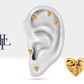 Kalp Kuru Kafa Yakutlu Piercing, 8 MM , 1.2 MM, 14K Sarı-Beyaz-Kırmızı Altın | LP00023R