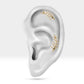 Yaprak Pırlanta Piercing, 8 MM , 1.2 MM, 14K Sarı-Beyaz-Kırmızı Altın | LP00031D