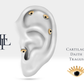 Siyah Pırlantalı Göz Piercing, 8 MM , 1.2 MM, 14K Sarı-Beyaz-Kırmızı Altın | LP00012B