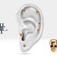 Siyah Pırlantalı Kuru Kafa Piercing, 8 MM , 1.2 MM, 14K Sarı-Beyaz-Kırmızı Altın | LP00011B