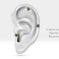 Çiçek Siyah Pırlantalı Piercing, 8 MM , 1.2 MM, 14K Sarı-Beyaz-Kırmızı Altın | LP00035B