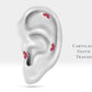 Beşli Markiz Yakutlu Piercing, 8 MM , 1.2 MM, 14K Sarı-Beyaz-Kırmızı Altın | LP00037R