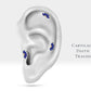 Beşli Markiz Safirli Piercing, 8 MM , 1.2 MM, 14K Sarı-Beyaz-Kırmızı Altın | LP00037S